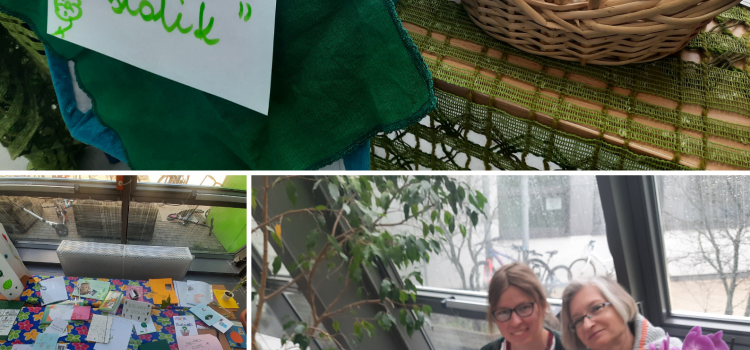 „Zaopiekuj się roślinką”- projekt w zielonej szkole zakończony!
